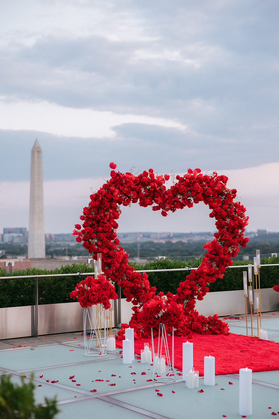 DC proposal photographer